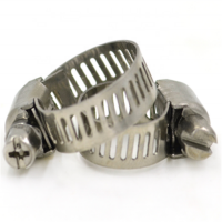 American stainless steel types hose clamps