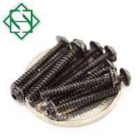 Type B, Black Oxide Finish Torx Screw Binding Head Screws