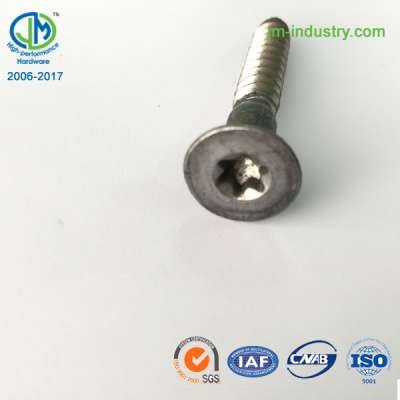 Custom plain torx drive flat head wood screw