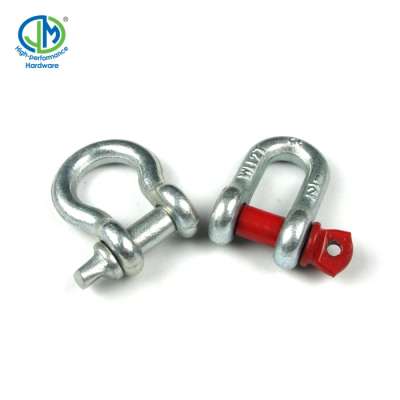 Hot Forged Stainless Steel AISI304/316 D Shackle/Bow Shackle US/European Type