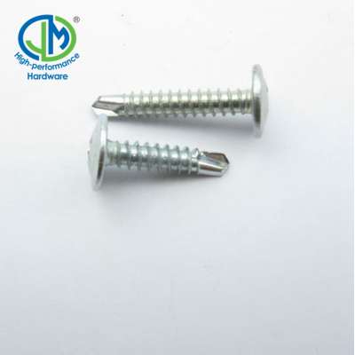 Truss head self drilling screw in China